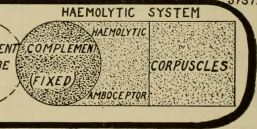 An illustration from The diagnostics of internal medicine : a clinical treatise upon the recognised principles of medical diagnosis, prepared for the use of students and practitioners of medicine / by Glentworth Reeve Butler ... ; with five coloured plates and two hundred and seventy-two illustrations and charts in the text., 1909, leaf 696