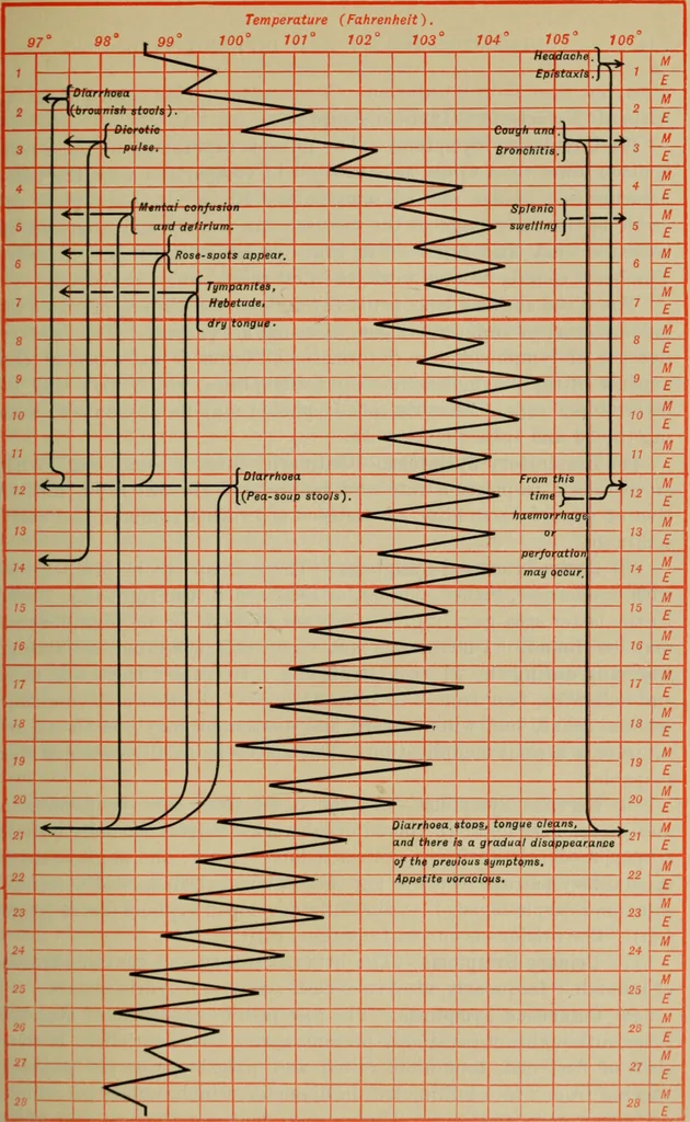 An illustration from The diagnostics of internal medicine : a clinical treatise upon the recognised principles of medical diagnosis, prepared for the use of students and practitioners of medicine / by Glentworth Reeve Butler ... ; with five coloured plates and two hundred and seventy-two illustrations and charts in the text., 1909, leaf 781