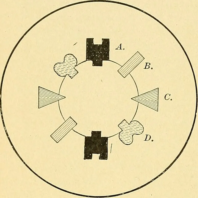An illustration from A text-book of pathology for students of medicine / by J. George Adami and John McCrae ; illustrated with 304 engravings and 11 colored plates., 1912, leaf 172