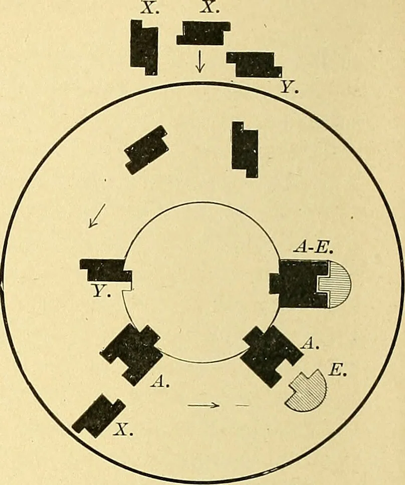 An illustration from A text-book of pathology for students of medicine / by J. George Adami and John McCrae ; illustrated with 304 engravings and 11 colored plates., 1912, leaf 172