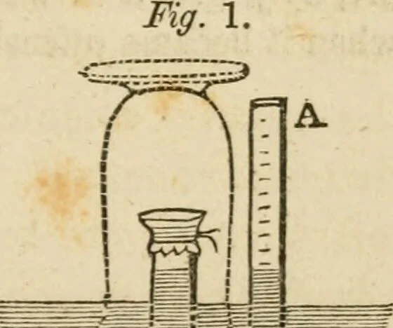 An illustration from Five essays / By John Kearsley Mitchell ... Ed. by S. Weir Mitchell., 1859, leaf 343