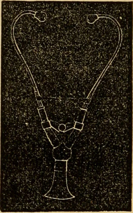 An illustration from The household physician : for the use of families, planters, seamen, and travellers ; being a brief description, in plain language, of all the diseases of men, women, and children, with the newest and most approved methods of curing them / by Ira Warren., 1866, leaf 228