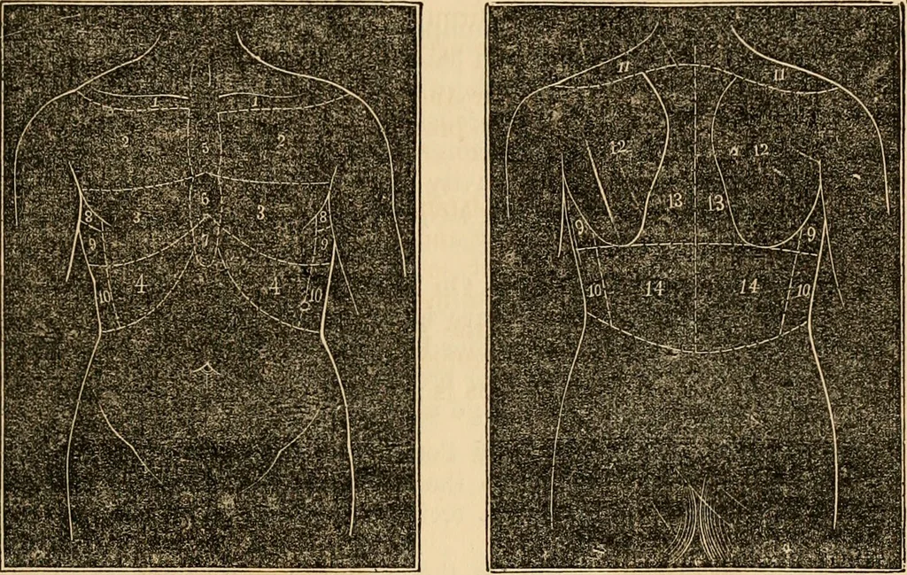 An illustration from The household physician : for the use of families, planters, seamen, and travellers ; being a brief description, in plain language, of all the diseases of men, women, and children, with the newest and most approved methods of curing them / by Ira Warren., 1866, leaf 229