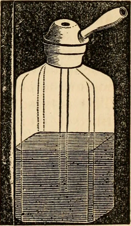 An illustration from The household physician : for the use of families, planters, seamen, and travellers ; being a brief description, in plain language, of all the diseases of men, women, and children, with the newest and most approved methods of curing them / by Ira Warren., 1866, leaf 241