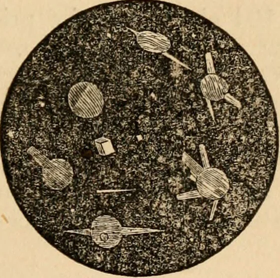 An illustration from The household physician : for the use of families, planters, seamen, and travellers ; being a brief description, in plain language, of all the diseases of men, women, and children, with the newest and most approved methods of curing them / by Ira Warren., 1866, leaf 291