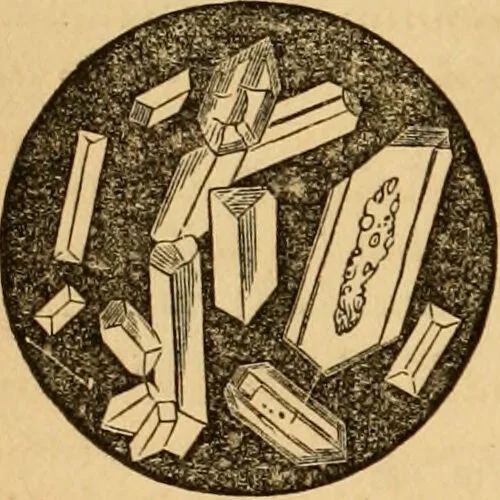 An illustration from The household physician : for the use of families, planters, seamen, and travellers ; being a brief description, in plain language, of all the diseases of men, women, and children, with the newest and most approved methods of curing them / by Ira Warren., 1866, leaf 292