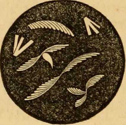 An illustration from The household physician : for the use of families, planters, seamen, and travellers ; being a brief description, in plain language, of all the diseases of men, women, and children, with the newest and most approved methods of curing them / by Ira Warren., 1866, leaf 292