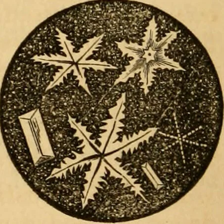 An illustration from The household physician : for the use of families, planters, seamen, and travellers ; being a brief description, in plain language, of all the diseases of men, women, and children, with the newest and most approved methods of curing them / by Ira Warren., 1866, leaf 292