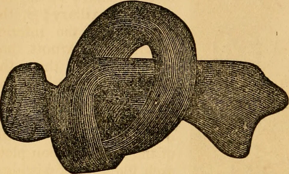 An illustration from The household physician : for the use of families, planters, seamen, and travellers ; being a brief description, in plain language, of all the diseases of men, women, and children, with the newest and most approved methods of curing them / by Ira Warren., 1866, leaf 30