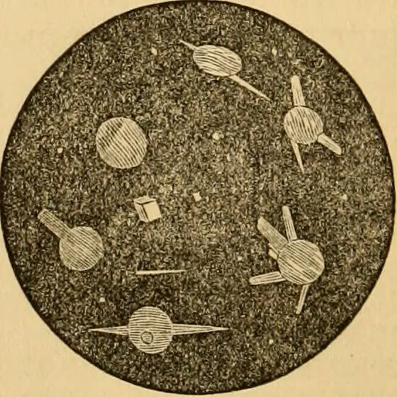 An illustration from The household physician : for the use of families, planters, seamen, and travellers ; being a brief description, in plain language, of all the diseases of men, women, and children, with the newest and most approved methods of curing them / by Ira Warren., 1866, leaf 326