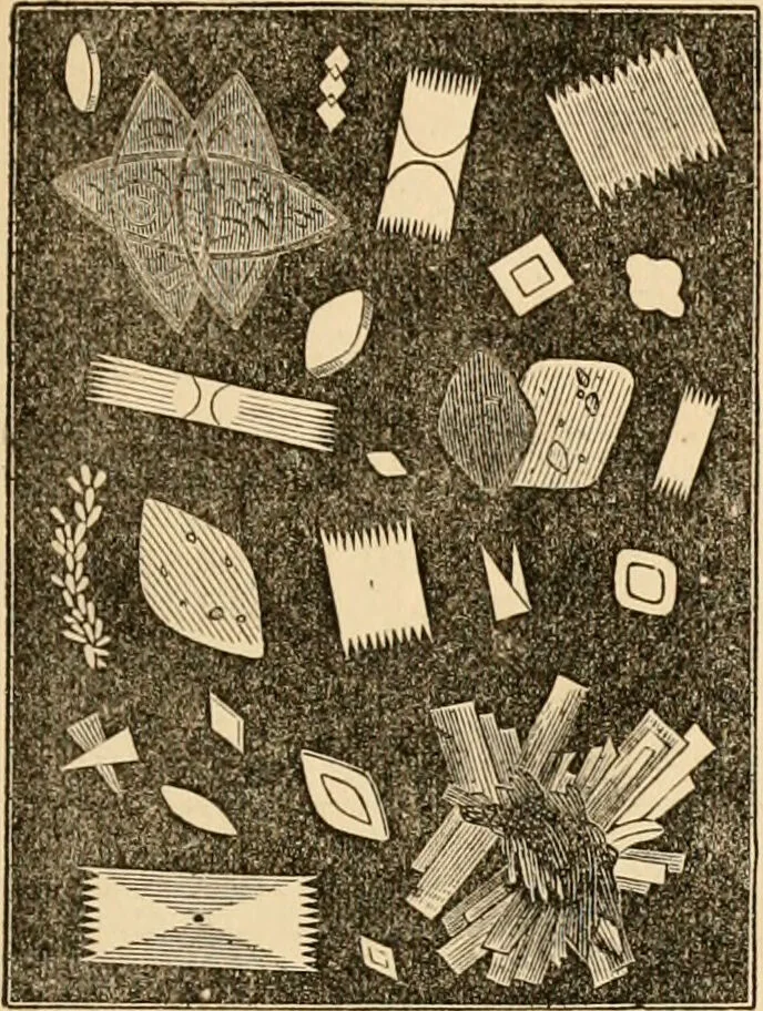 An illustration from The household physician : for the use of families, planters, seamen, and travellers ; being a brief description, in plain language, of all the diseases of men, women, and children, with the newest and most approved methods of curing them / by Ira Warren., 1866, leaf 327