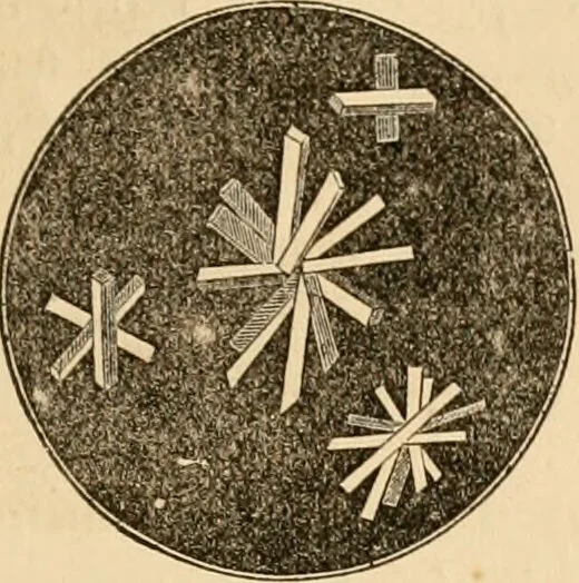 An illustration from The household physician : for the use of families, planters, seamen, and travellers ; being a brief description, in plain language, of all the diseases of men, women, and children, with the newest and most approved methods of curing them / by Ira Warren., 1866, leaf 331