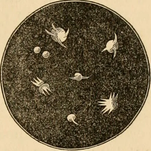 An illustration from The household physician : for the use of families, planters, seamen, and travellers ; being a brief description, in plain language, of all the diseases of men, women, and children, with the newest and most approved methods of curing them / by Ira Warren., 1866, leaf 331