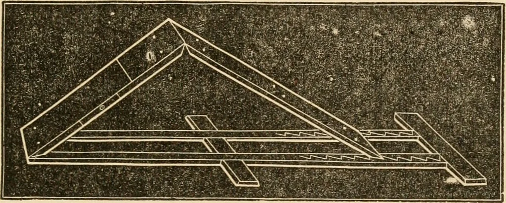 An illustration from The household physician : for the use of families, planters, seamen, and travellers ; being a brief description, in plain language, of all the diseases of men, women, and children, with the newest and most approved methods of curing them / by Ira Warren., 1866, leaf 471