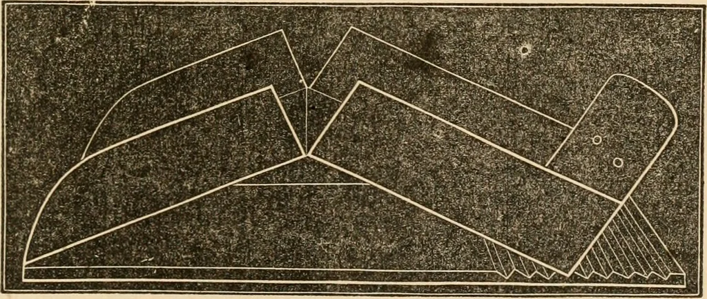 An illustration from The household physician : for the use of families, planters, seamen, and travellers ; being a brief description, in plain language, of all the diseases of men, women, and children, with the newest and most approved methods of curing them / by Ira Warren., 1866, leaf 471