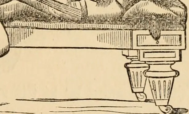 An illustration from The household physician : for the use of families, planters, seamen, and travellers ; being a brief description, in plain language, of all the diseases of men, women, and children, with the newest and most approved methods of curing them / by Ira Warren., 1866, leaf 485
