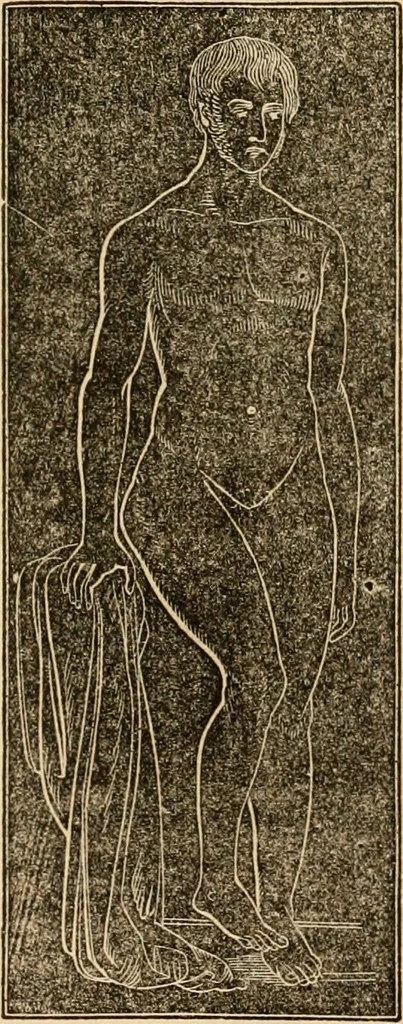 An illustration from The household physician : for the use of families, planters, seamen, and travellers ; being a brief description, in plain language, of all the diseases of men, women, and children, with the newest and most approved methods of curing them / by Ira Warren., 1866, leaf 487