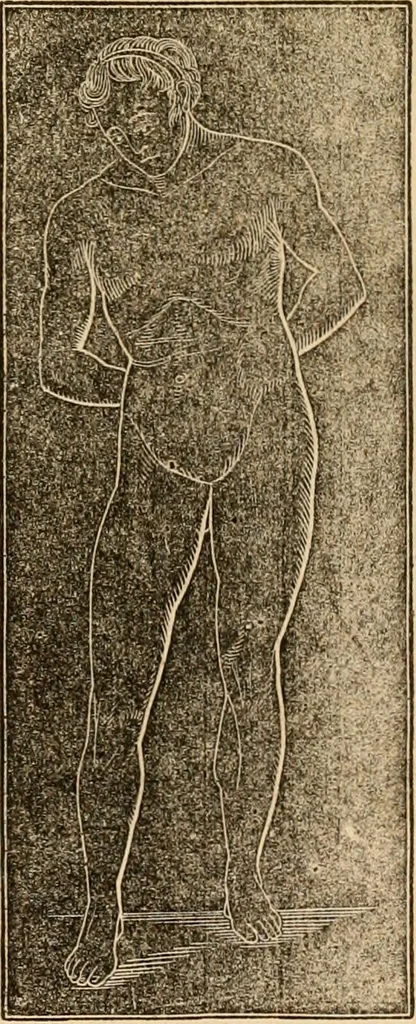 An illustration from The household physician : for the use of families, planters, seamen, and travellers ; being a brief description, in plain language, of all the diseases of men, women, and children, with the newest and most approved methods of curing them / by Ira Warren., 1866, leaf 487