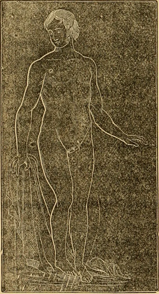 An illustration from The household physician : for the use of families, planters, seamen, and travellers ; being a brief description, in plain language, of all the diseases of men, women, and children, with the newest and most approved methods of curing them / by Ira Warren., 1866, leaf 488