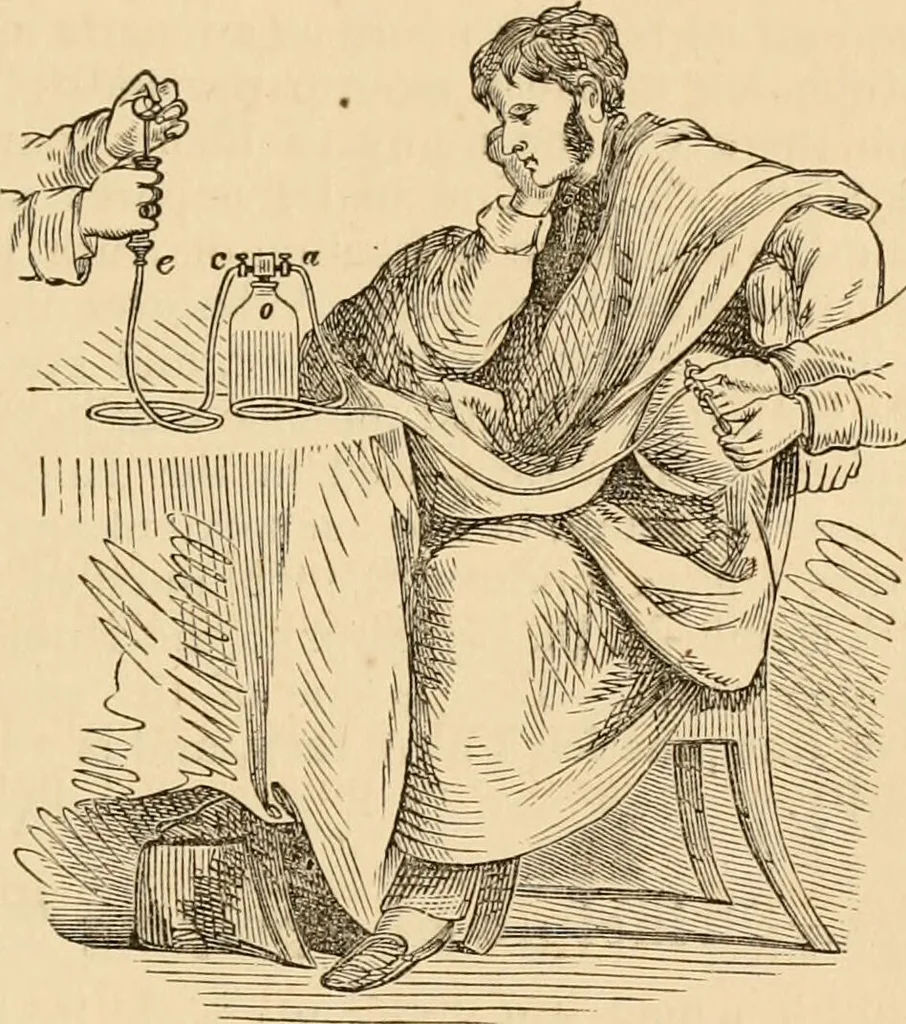 An illustration from The household physician : for the use of families, planters, seamen, and travellers ; being a brief description, in plain language, of all the diseases of men, women, and children, with the newest and most approved methods of curing them / by Ira Warren., 1866, leaf 533