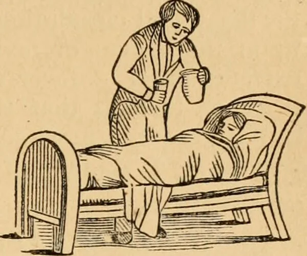 An illustration from The household physician : for the use of families, planters, seamen, and travellers ; being a brief description, in plain language, of all the diseases of men, women, and children, with the newest and most approved methods of curing them / by Ira Warren., 1866, leaf 555