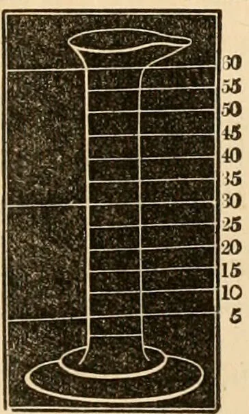 An illustration from The household physician : for the use of families, planters, seamen, and travellers ; being a brief description, in plain language, of all the diseases of men, women, and children, with the newest and most approved methods of curing them / by Ira Warren., 1866, leaf 613