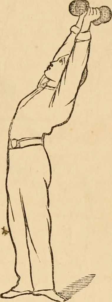 An illustration from The household physician : for the use of families, planters, seamen, and travellers ; being a brief description, in plain language, of all the diseases of men, women, and children, with the newest and most approved methods of curing them / by Ira Warren., 1866, leaf 757