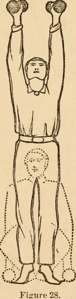 An illustration from The household physician : for the use of families, planters, seamen, and travellers ; being a brief description, in plain language, of all the diseases of men, women, and children, with the newest and most approved methods of curing them / by Ira Warren., 1866, leaf 757