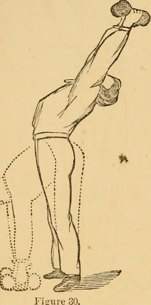 An illustration from The household physician : for the use of families, planters, seamen, and travellers ; being a brief description, in plain language, of all the diseases of men, women, and children, with the newest and most approved methods of curing them / by Ira Warren., 1866, leaf 758