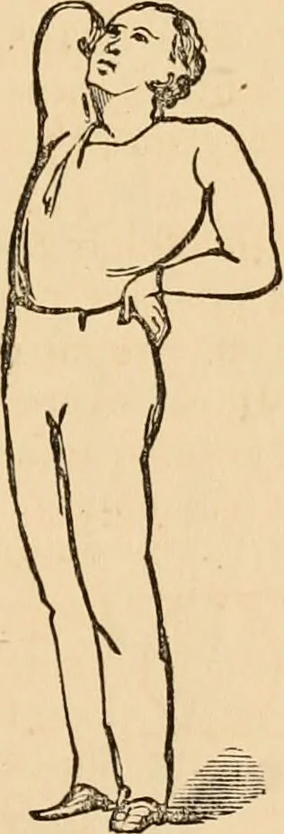 An illustration from The household physician : for the use of families, planters, seamen, and travellers ; being a brief description, in plain language, of all the diseases of men, women, and children, with the newest and most approved methods of curing them / by Ira Warren., 1866, leaf 761