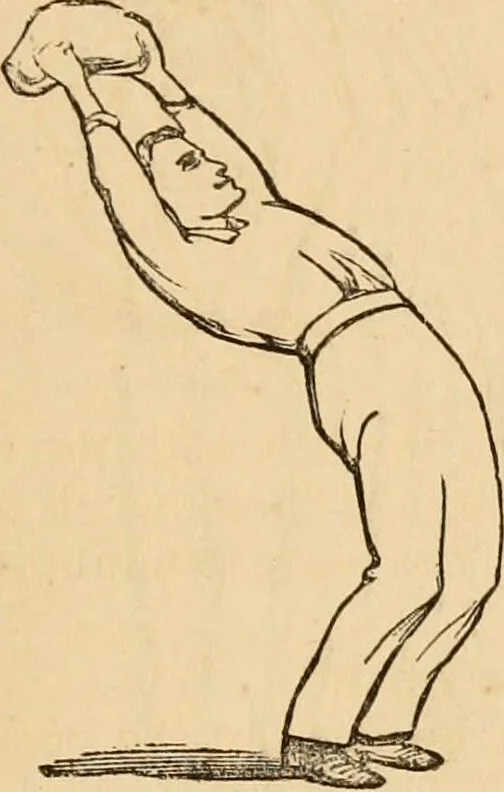 An illustration from The household physician : for the use of families, planters, seamen, and travellers ; being a brief description, in plain language, of all the diseases of men, women, and children, with the newest and most approved methods of curing them / by Ira Warren., 1866, leaf 763