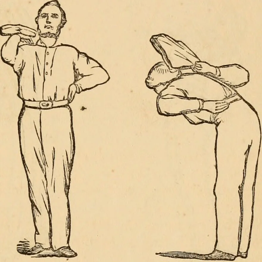 An illustration from The household physician : for the use of families, planters, seamen, and travellers ; being a brief description, in plain language, of all the diseases of men, women, and children, with the newest and most approved methods of curing them / by Ira Warren., 1866, leaf 763