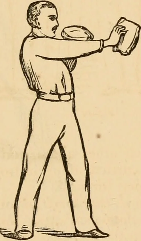 An illustration from The household physician : for the use of families, planters, seamen, and travellers ; being a brief description, in plain language, of all the diseases of men, women, and children, with the newest and most approved methods of curing them / by Ira Warren., 1866, leaf 765