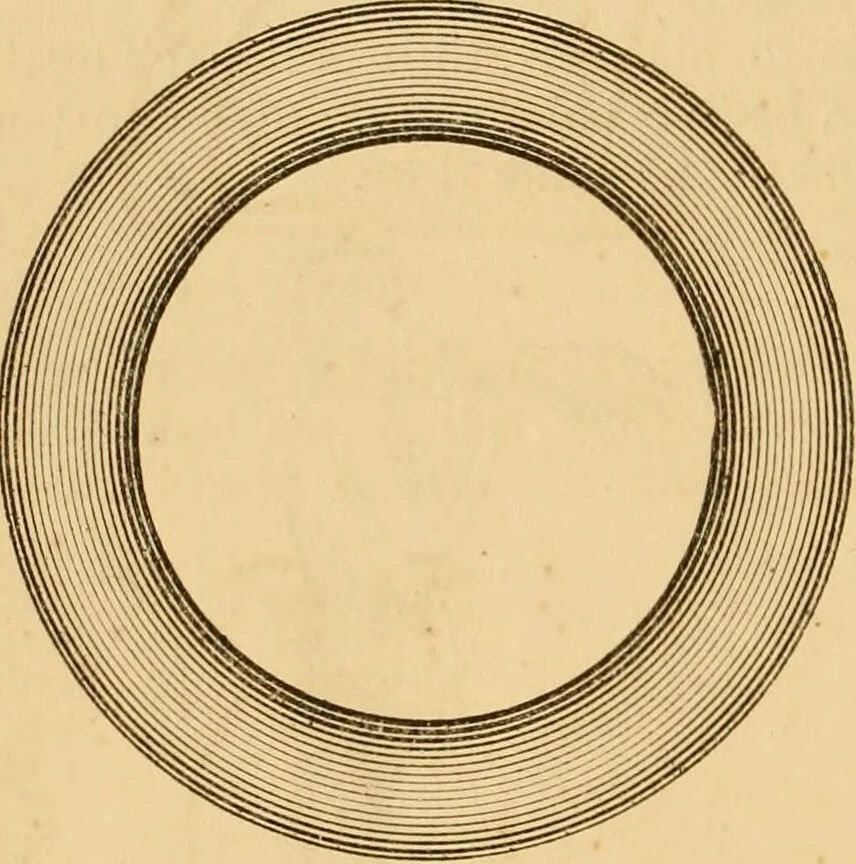 An illustration from The household physician : for the use of families, planters, seamen, and travellers ; being a brief description, in plain language, of all the diseases of men, women, and children, with the newest and most approved methods of curing them / by Ira Warren., 1866, leaf 766