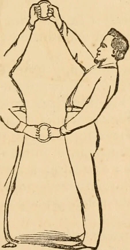An illustration from The household physician : for the use of families, planters, seamen, and travellers ; being a brief description, in plain language, of all the diseases of men, women, and children, with the newest and most approved methods of curing them / by Ira Warren., 1866, leaf 767