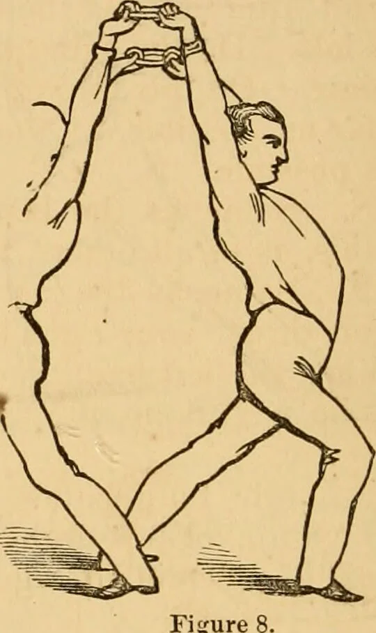 An illustration from The household physician : for the use of families, planters, seamen, and travellers ; being a brief description, in plain language, of all the diseases of men, women, and children, with the newest and most approved methods of curing them / by Ira Warren., 1866, leaf 768