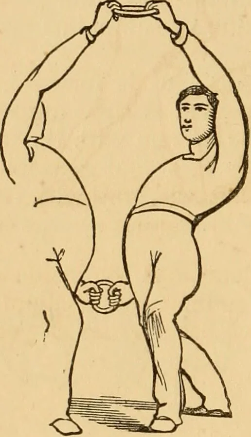 An illustration from The household physician : for the use of families, planters, seamen, and travellers ; being a brief description, in plain language, of all the diseases of men, women, and children, with the newest and most approved methods of curing them / by Ira Warren., 1866, leaf 770