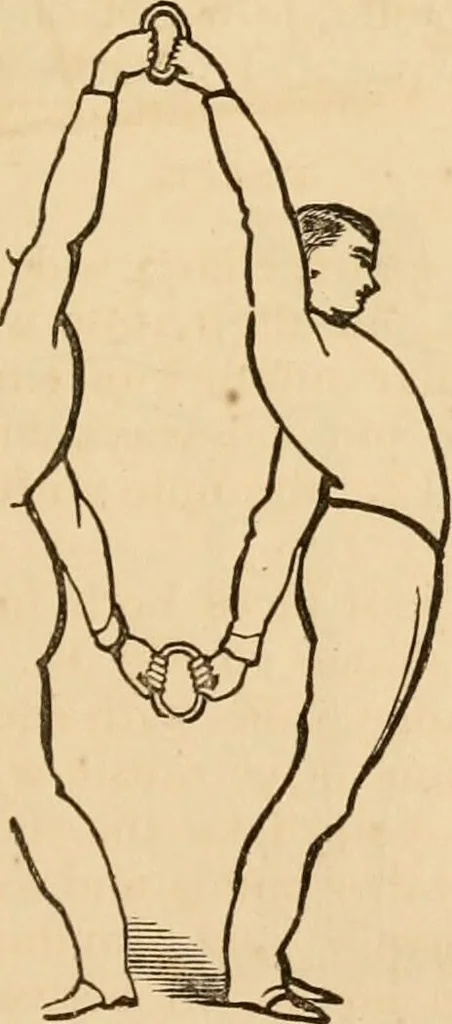 An illustration from The household physician : for the use of families, planters, seamen, and travellers ; being a brief description, in plain language, of all the diseases of men, women, and children, with the newest and most approved methods of curing them / by Ira Warren., 1866, leaf 771