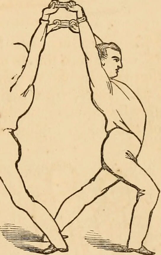 An illustration from The household physician : for the use of families, planters, seamen, and travellers ; being a brief description, in plain language, of all the diseases of men, women, and children, with the newest and most approved methods of curing them / by Ira Warren., 1866, leaf 773