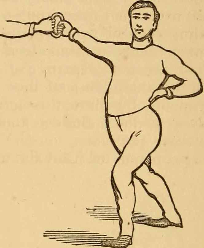 An illustration from The household physician : for the use of families, planters, seamen, and travellers ; being a brief description, in plain language, of all the diseases of men, women, and children, with the newest and most approved methods of curing them / by Ira Warren., 1866, leaf 774