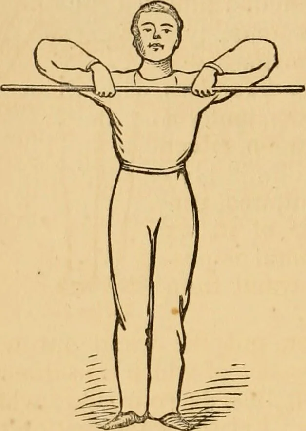 An illustration from The household physician : for the use of families, planters, seamen, and travellers ; being a brief description, in plain language, of all the diseases of men, women, and children, with the newest and most approved methods of curing them / by Ira Warren., 1866, leaf 776