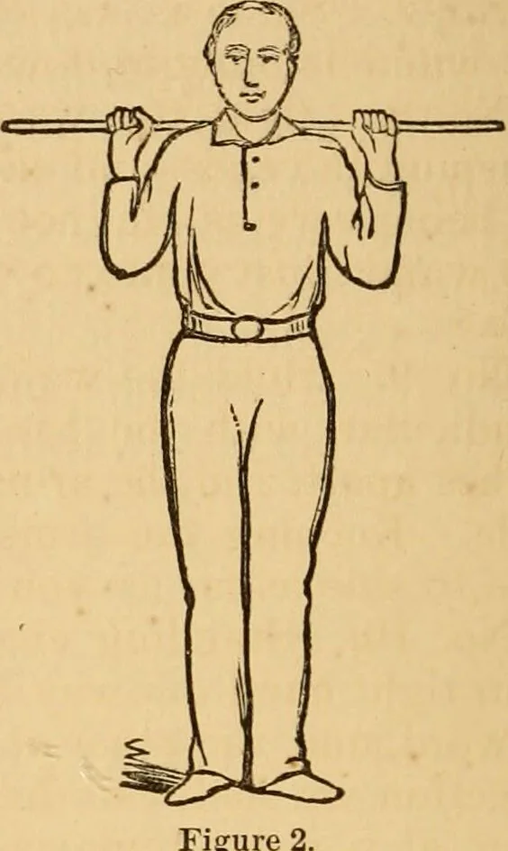 An illustration from The household physician : for the use of families, planters, seamen, and travellers ; being a brief description, in plain language, of all the diseases of men, women, and children, with the newest and most approved methods of curing them / by Ira Warren., 1866, leaf 776