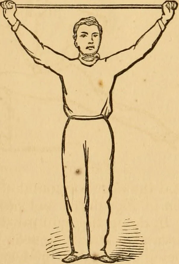 An illustration from The household physician : for the use of families, planters, seamen, and travellers ; being a brief description, in plain language, of all the diseases of men, women, and children, with the newest and most approved methods of curing them / by Ira Warren., 1866, leaf 776