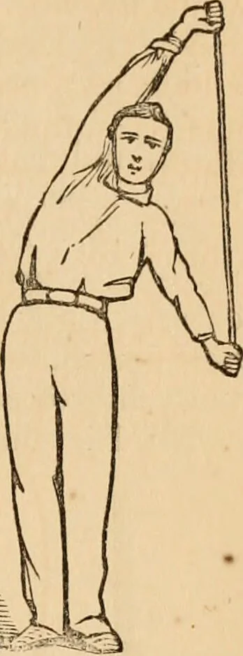 An illustration from The household physician : for the use of families, planters, seamen, and travellers ; being a brief description, in plain language, of all the diseases of men, women, and children, with the newest and most approved methods of curing them / by Ira Warren., 1866, leaf 777