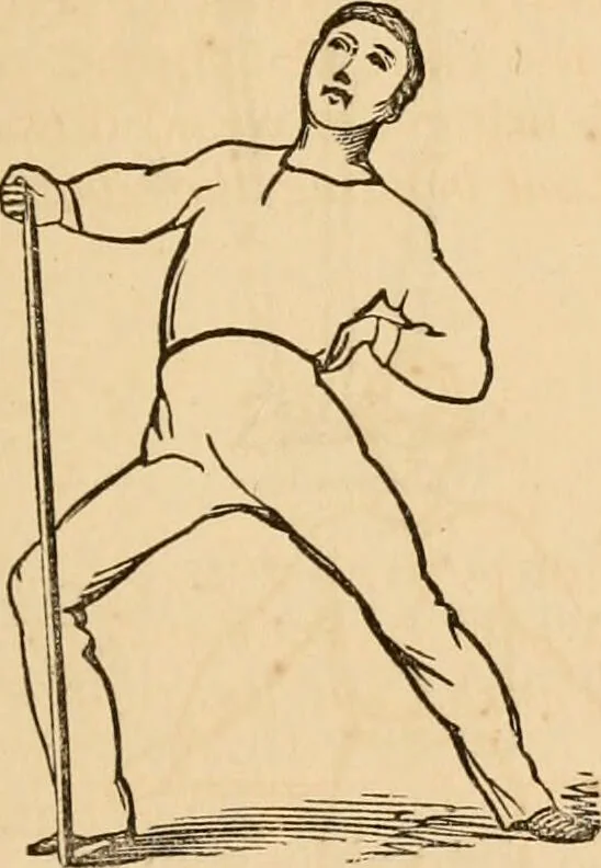 An illustration from The household physician : for the use of families, planters, seamen, and travellers ; being a brief description, in plain language, of all the diseases of men, women, and children, with the newest and most approved methods of curing them / by Ira Warren., 1866, leaf 777