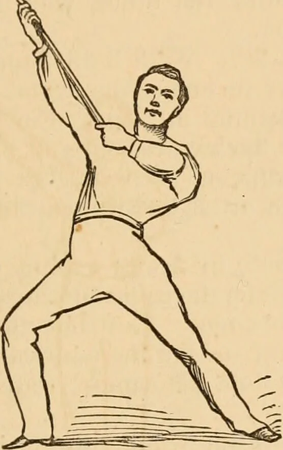 An illustration from The household physician : for the use of families, planters, seamen, and travellers ; being a brief description, in plain language, of all the diseases of men, women, and children, with the newest and most approved methods of curing them / by Ira Warren., 1866, leaf 779