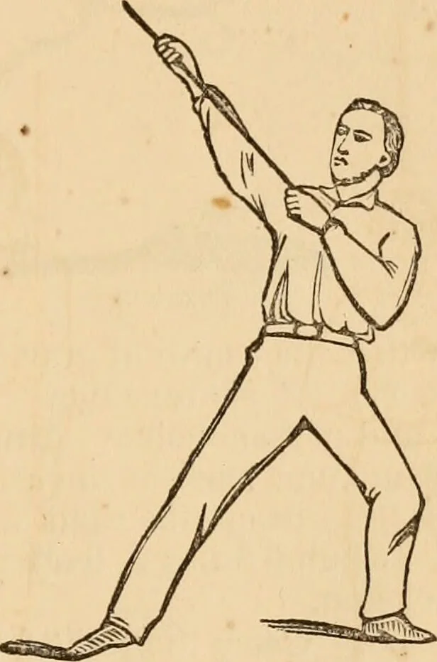 An illustration from The household physician : for the use of families, planters, seamen, and travellers ; being a brief description, in plain language, of all the diseases of men, women, and children, with the newest and most approved methods of curing them / by Ira Warren., 1866, leaf 779