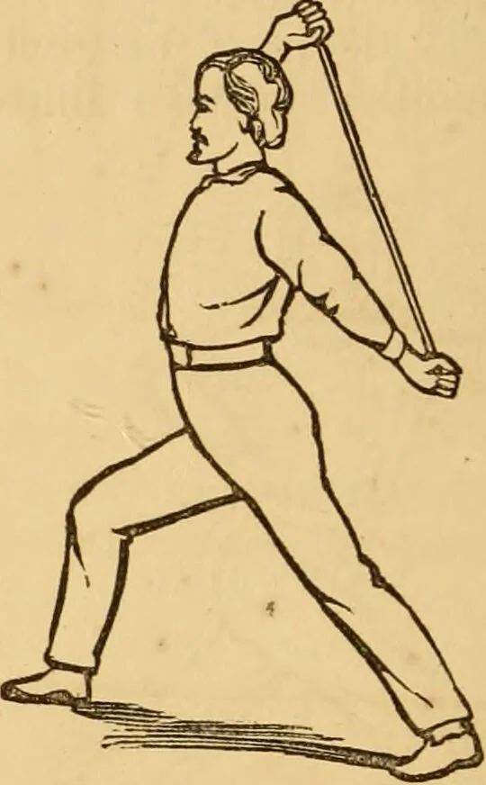 An illustration from The household physician : for the use of families, planters, seamen, and travellers ; being a brief description, in plain language, of all the diseases of men, women, and children, with the newest and most approved methods of curing them / by Ira Warren., 1866, leaf 782