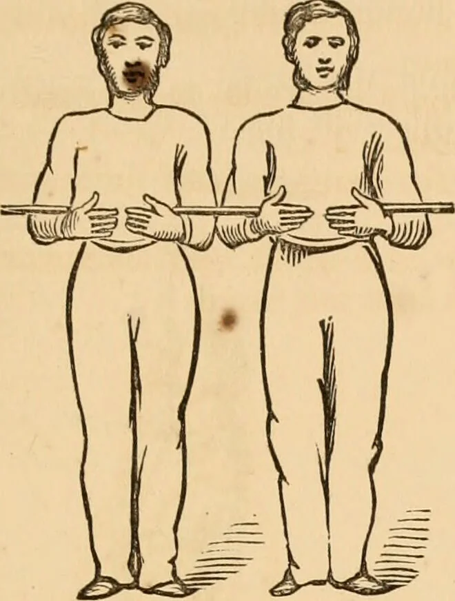 An illustration from The household physician : for the use of families, planters, seamen, and travellers ; being a brief description, in plain language, of all the diseases of men, women, and children, with the newest and most approved methods of curing them / by Ira Warren., 1866, leaf 783