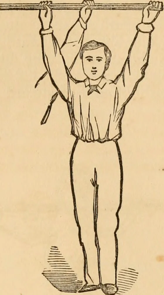 An illustration from The household physician : for the use of families, planters, seamen, and travellers ; being a brief description, in plain language, of all the diseases of men, women, and children, with the newest and most approved methods of curing them / by Ira Warren., 1866, leaf 783